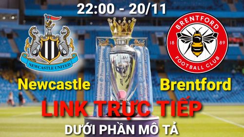 Link Trực tiếp Ngoại hạng Anh Newcastle vs Brentford vào 22:00 ngày 20/11/2021 