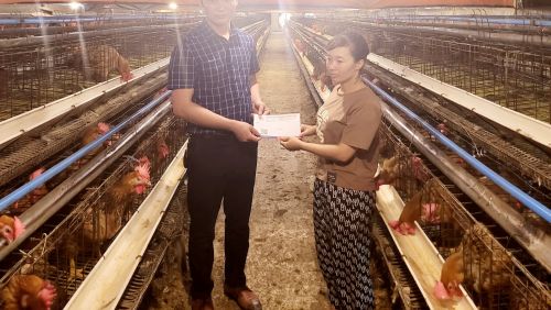 Động viên thăm hỏi hội viên CLB vụ 4.500 gà Lông Phượng, Đông tảo bố mẹ bị chết thiệt hại ước tính 1.5 tỷ đồng