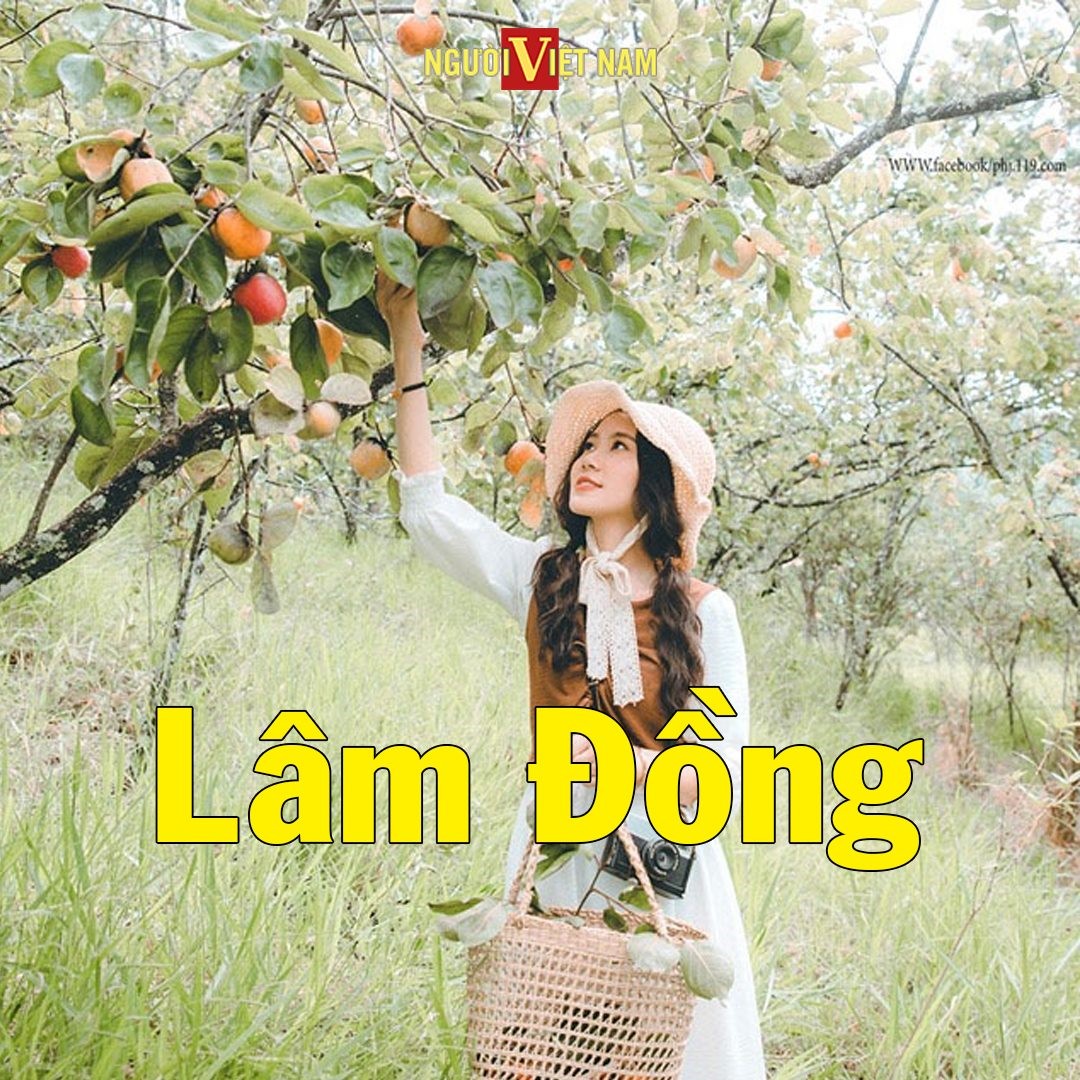 240687706_860228134611175_2391211485340926034_n