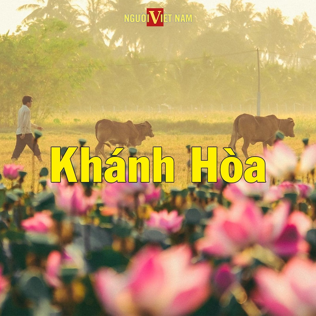 241260744_860228067944515_4299078923274813859_n