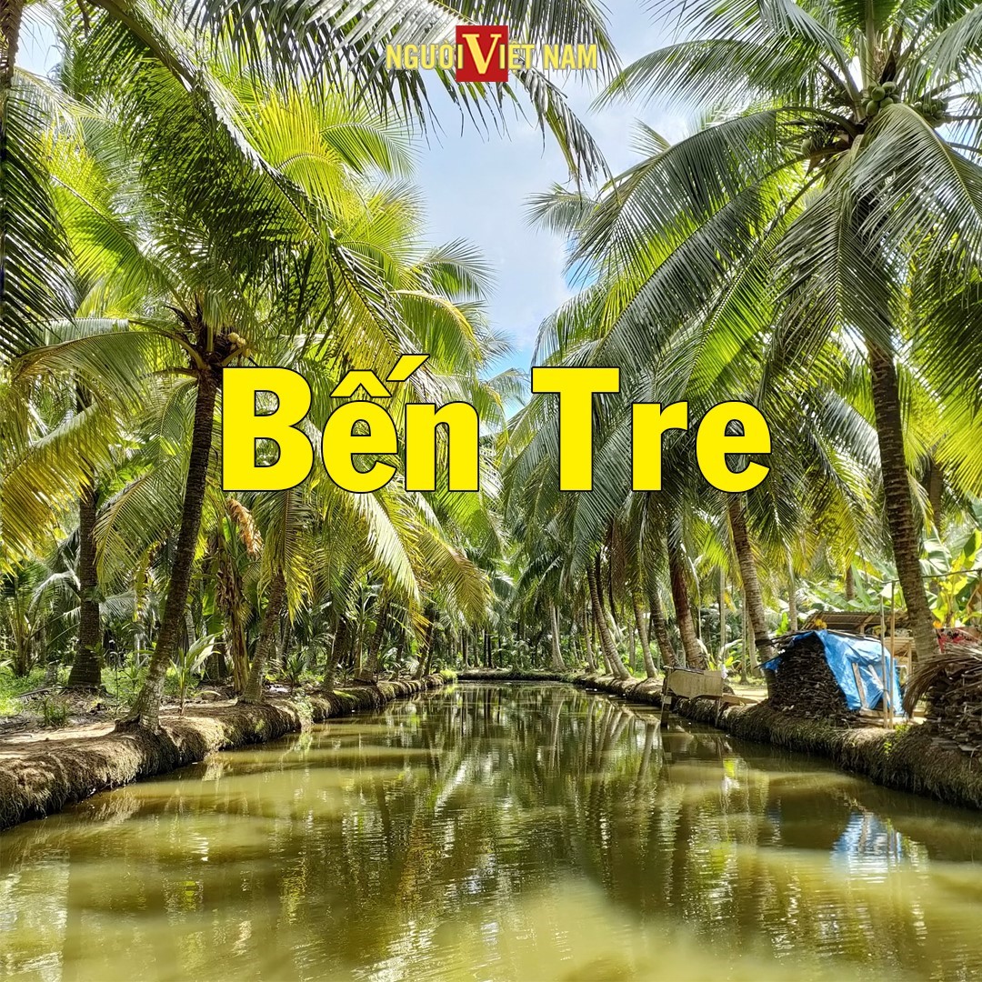 241283921_860228181277837_7391815044887395335_n