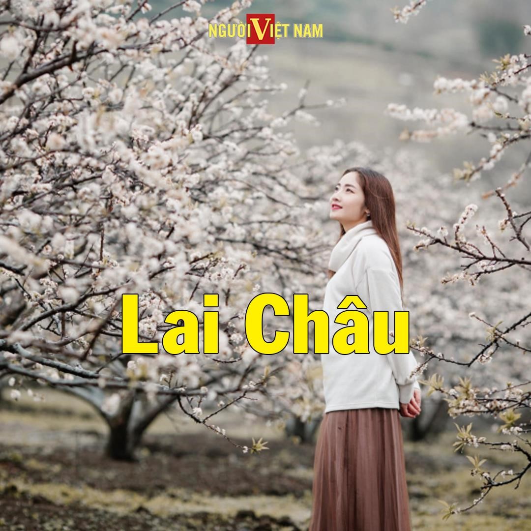 241359225_860228084611180_2708151997281988301_n