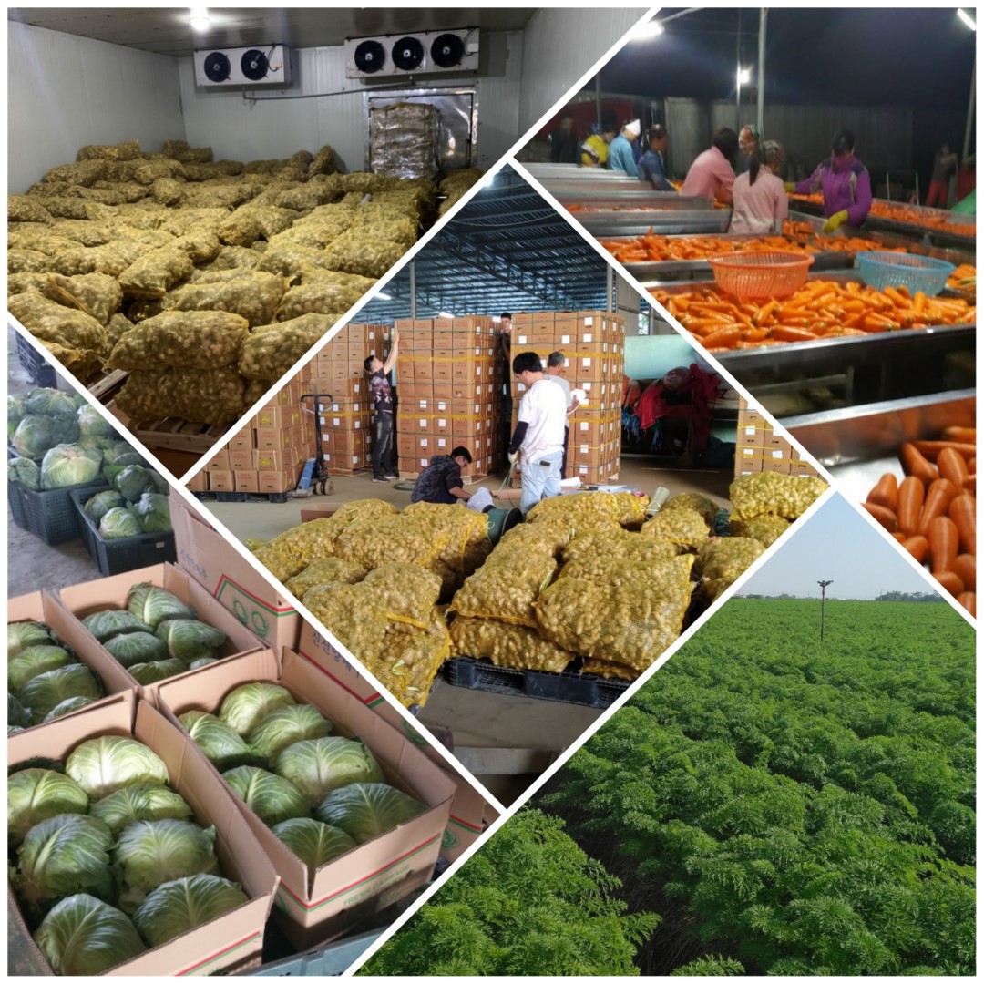 z2789707073607_1dca8759fe0b46a63ae82d7ea0f79480